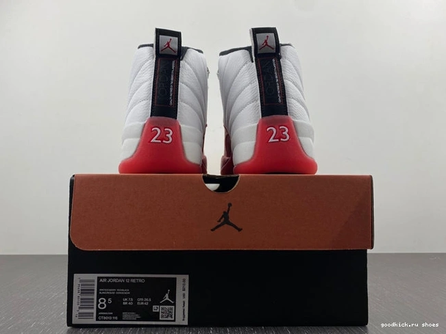 Rep CT8013- 4135 Jordan Retro Cherry 12 OdorResistant 1014